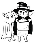 猫咪免抠