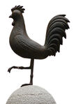 公鸡免抠