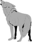狼免抠