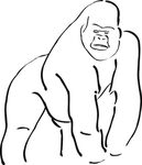 大猩猩免抠