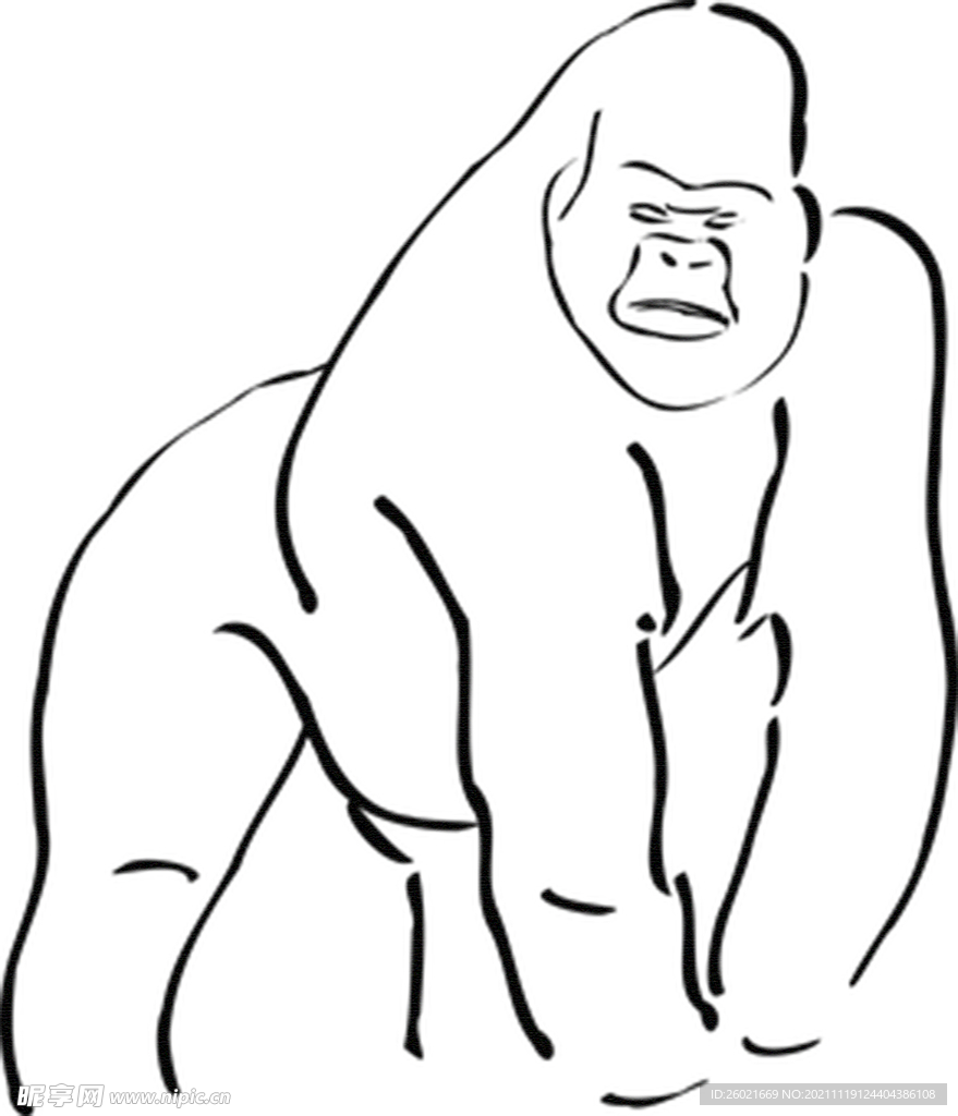 大猩猩免抠