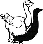 鹅免抠