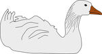 鹅免抠