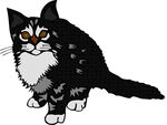 猫咪免抠