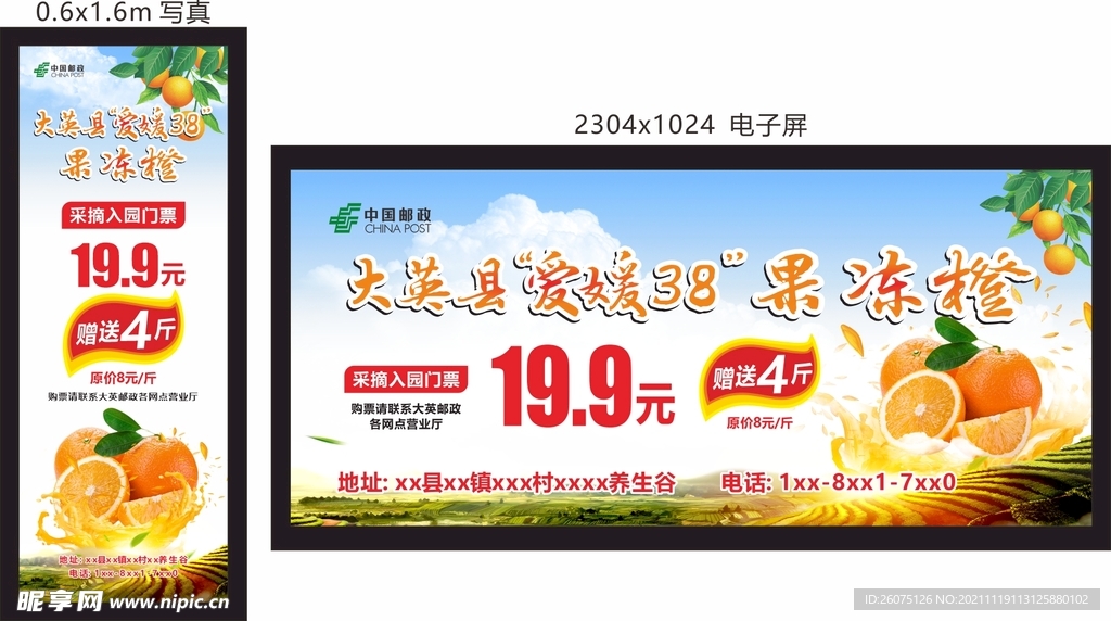 橙汁橙子乡村自助采摘果园销售