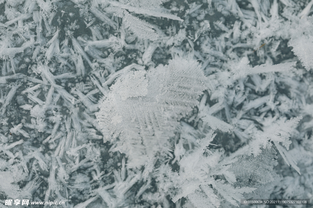 雪地