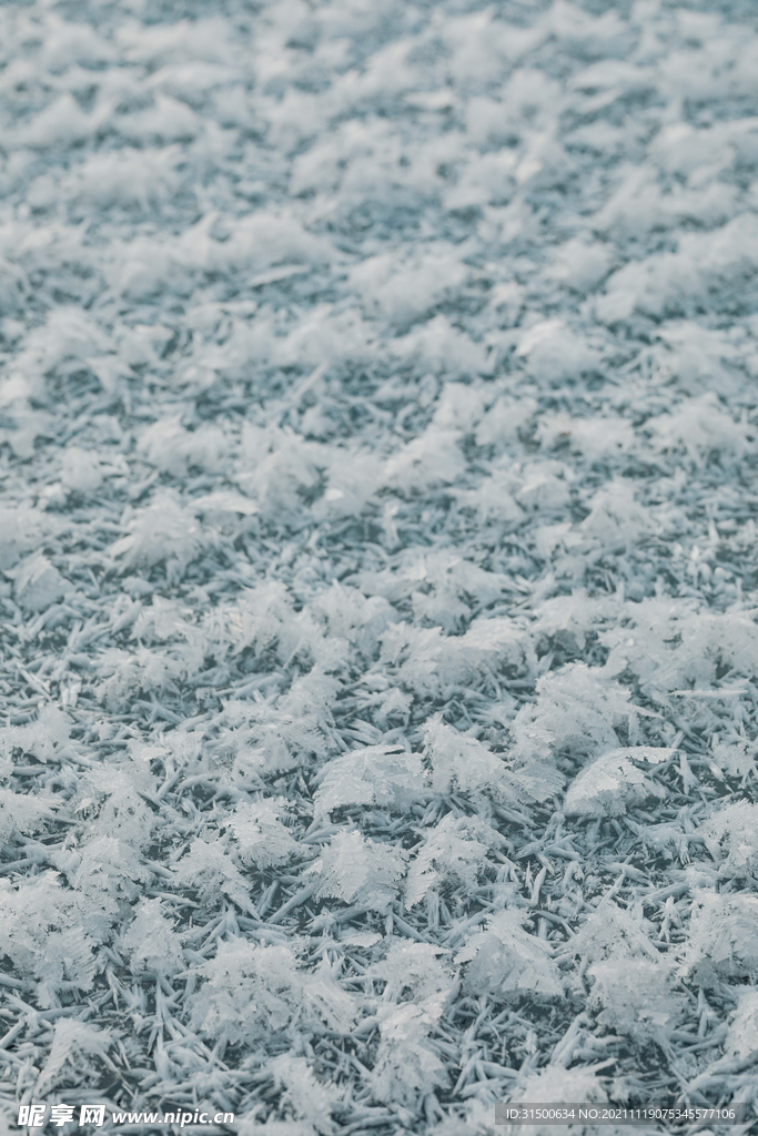 雪地