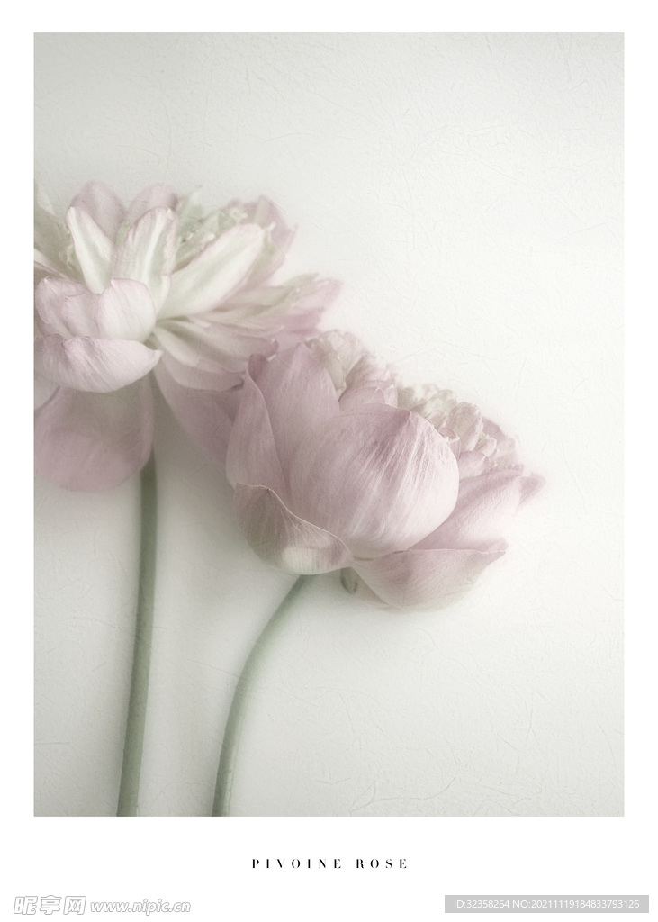 欧式花卉挂画装饰画