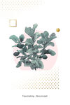 欧式植物挂画装饰画