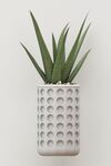 植物花草装饰挂画