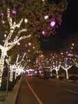 夜