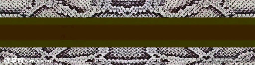 蛇皮 