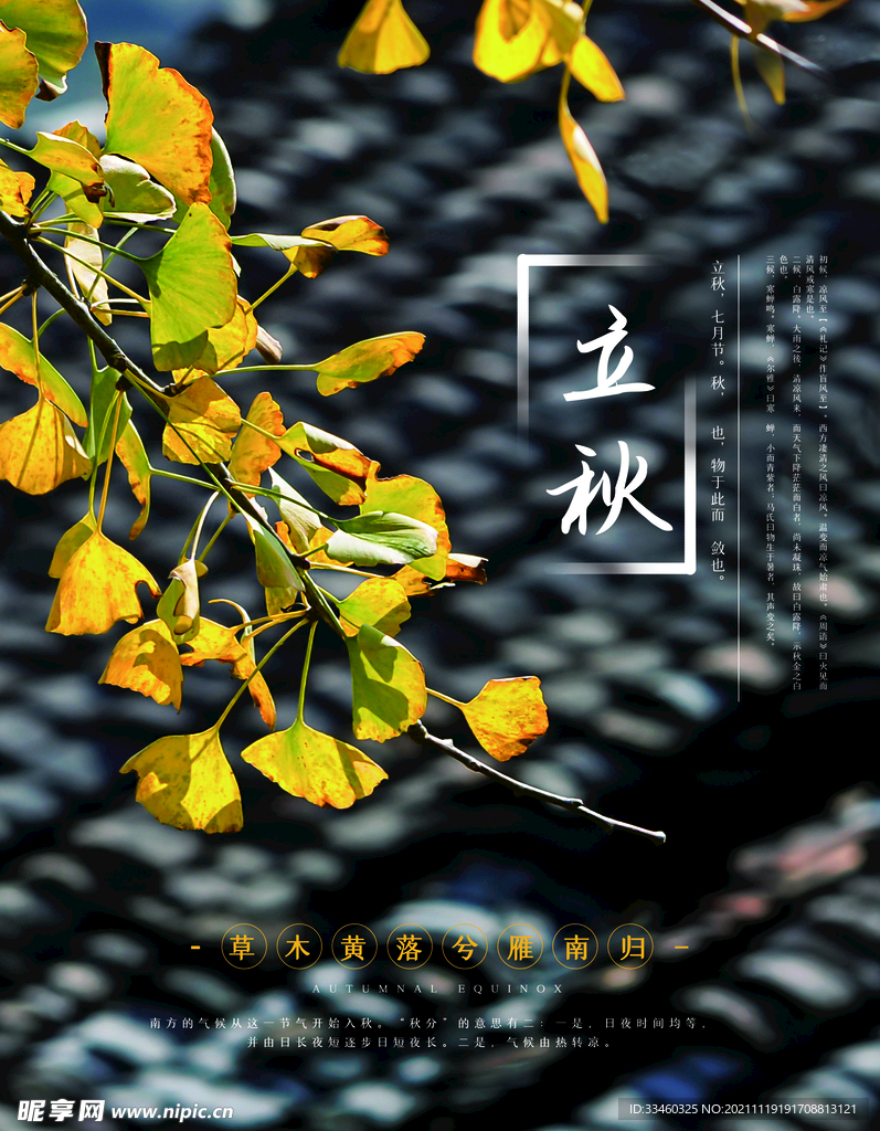 立秋