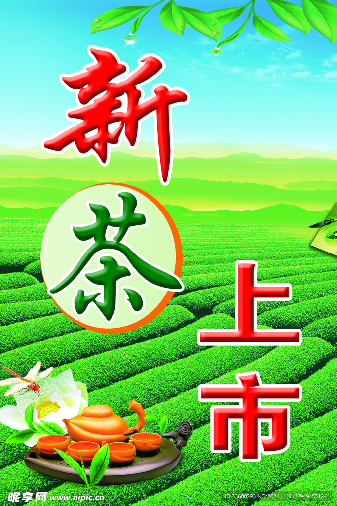 新茶上市