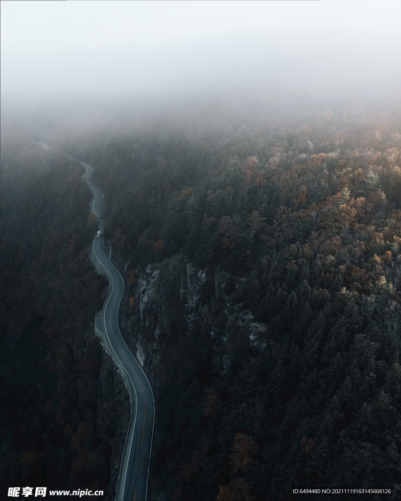 公路森林山脉旅行