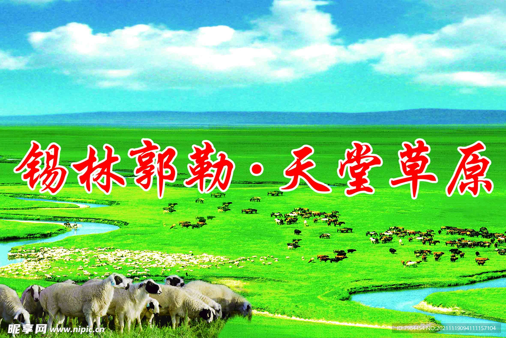 草原  九曲湾  锡盟羊