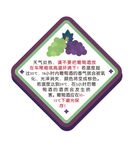 葡萄酒知识