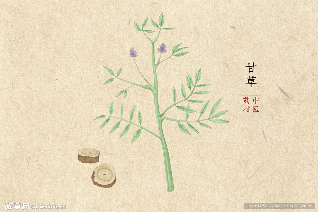 中药材甘草