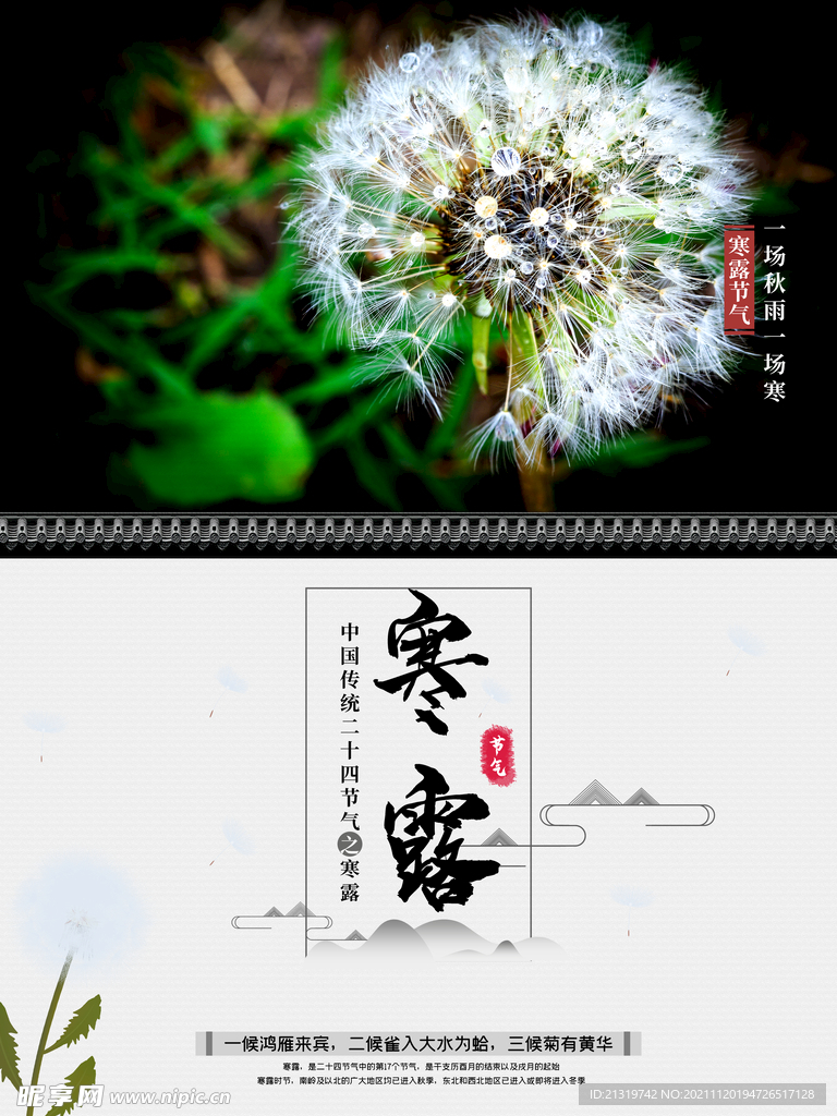 寒露节气海报