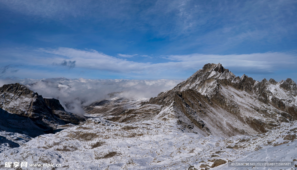 雪景