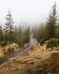 山