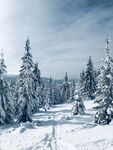 山