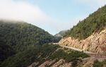 山