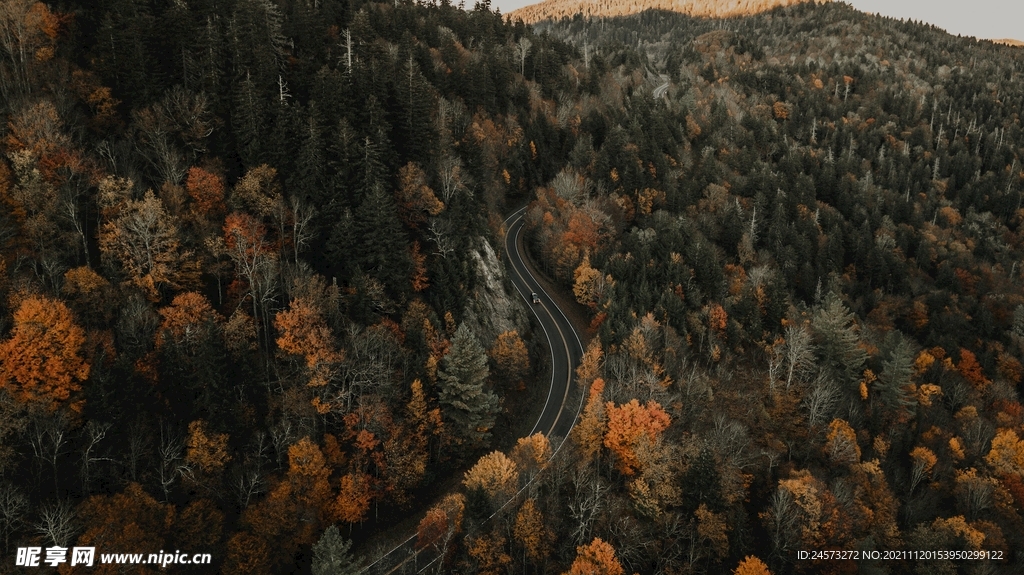 山路