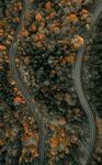 山路 