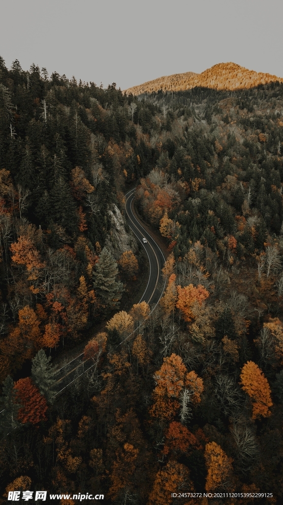 山路 