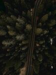 山路