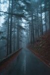山路