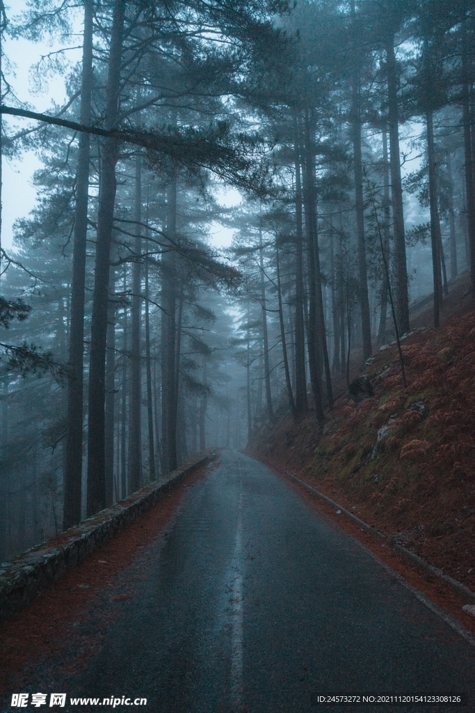山路