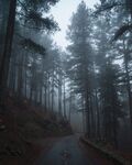 山路