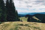 山