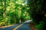 山路 