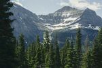 山