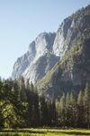 山