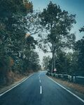 山路