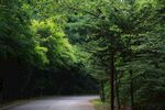 山路