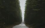 山路 
