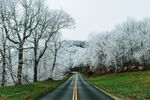 山路