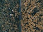 山路 