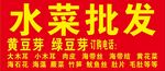 水菜批发