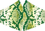 蛇纹 豹纹