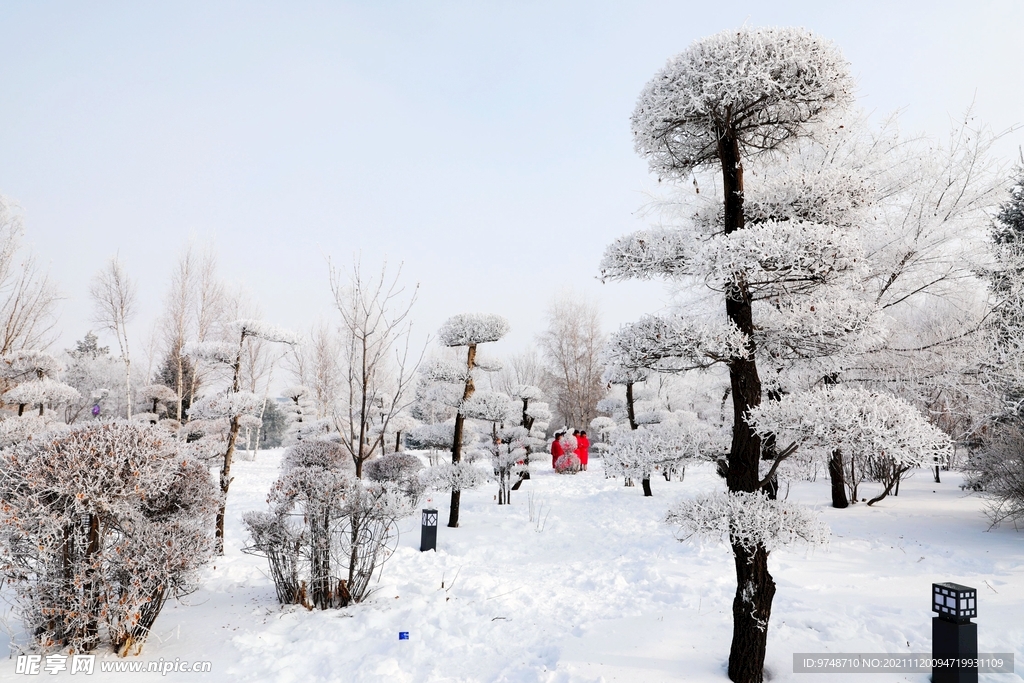 雪景