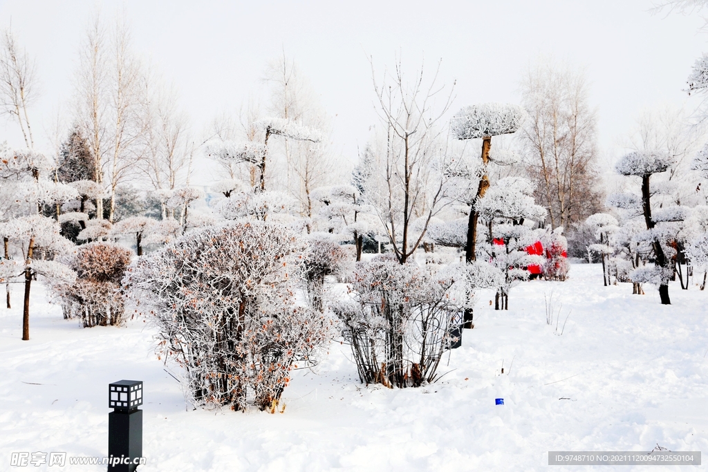 雪景