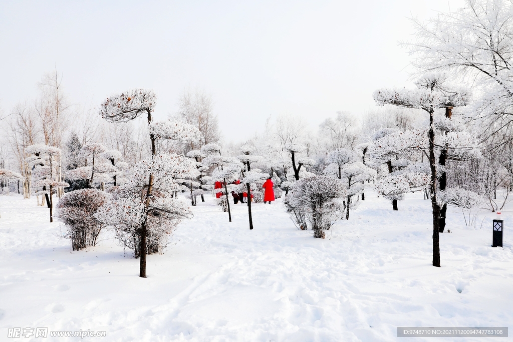 雪景