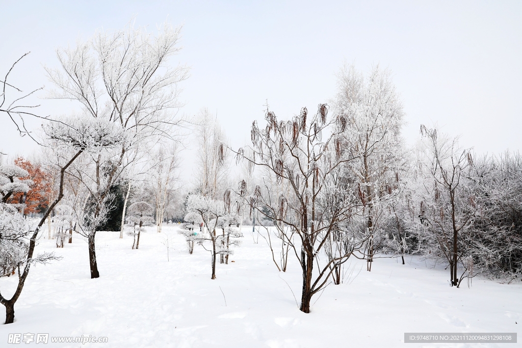 雪景