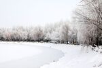 雪景